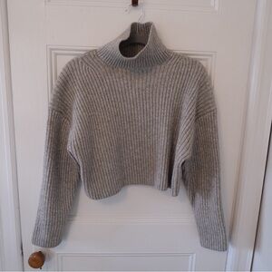 H&M Cropped Turtleneck Sweater